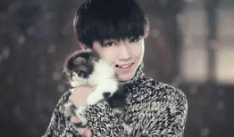 年轻男歌手爆料视频大全,娱乐圈幕后真相大揭秘