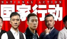 国家行动电视剧全集,揭秘惊心动魄的正义之战