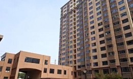 丰泽园电视剧,百年沧桑，家国情怀的传承之路