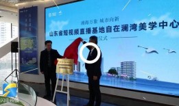 山东直播爆料新闻视频,揭秘当地热点事件背后的真相