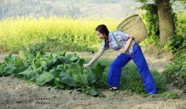 麻豆乡,历史悠久的台湾文化古镇之旅