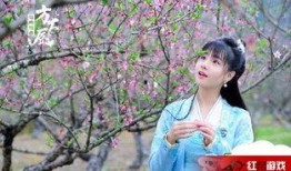 花间提壶大厨电视剧,花间提壶大厨的匠心烹饪传奇