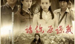 原谅电视剧演员表,实力派演员齐聚，演绎情感纠葛与救赎之路